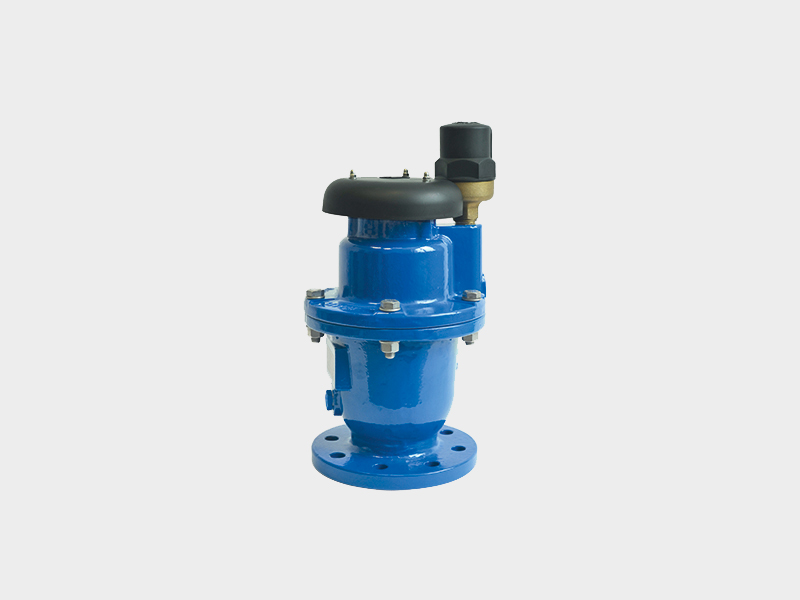 Produktbild AIRVALVE Be- und Entlüftungsventil D-060-HFNS DN80 Belüftung Entlüftung