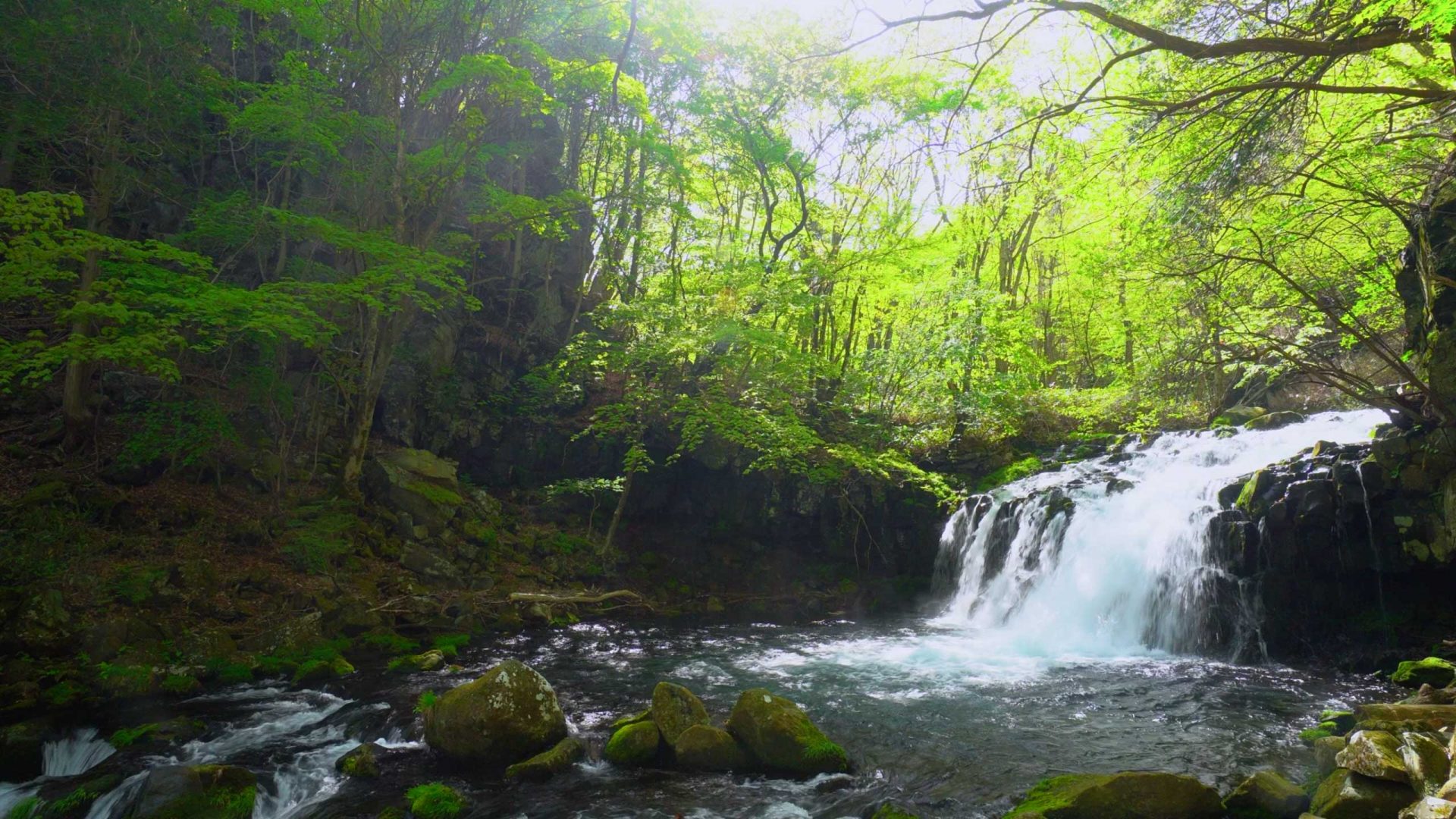 Wasserfall im Wald, Ventillösung